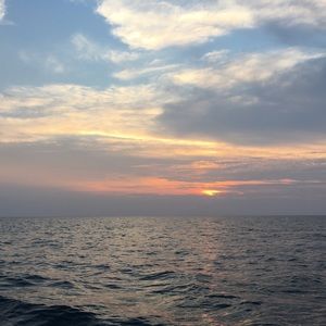 Meet your Posher, Elise